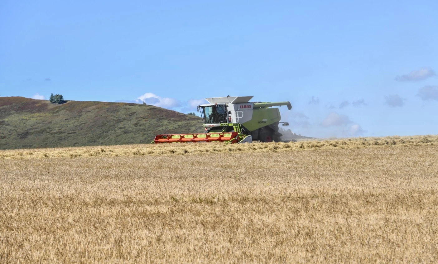 استىقتى قۇتقارۋ امالى