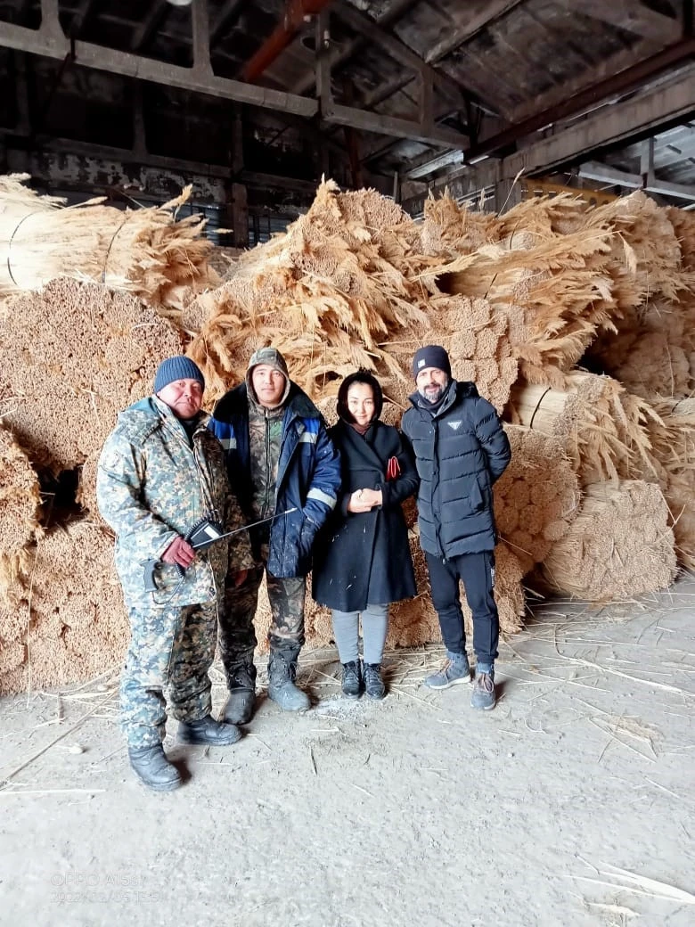 قامىستان تابىس تاپقان