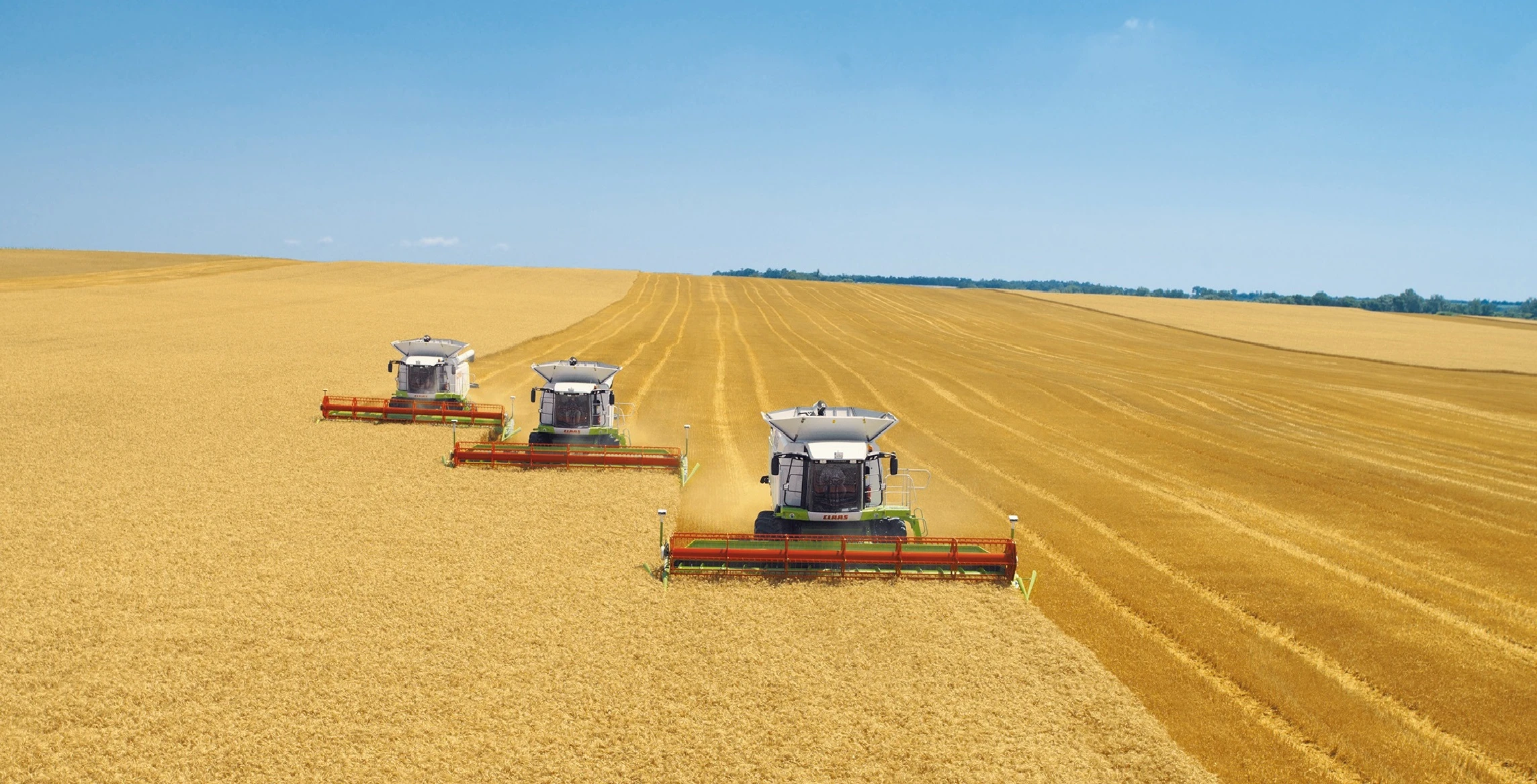 استىق ءۇشىن ارپالىس