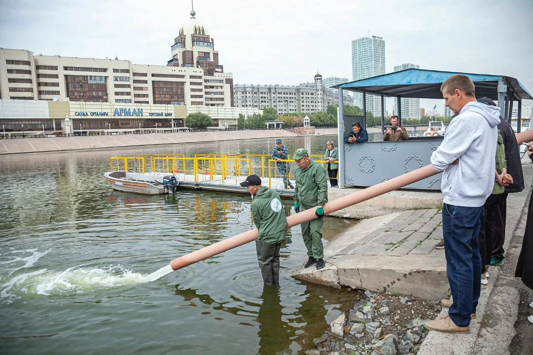 ەسىلگە 300 مىڭ شاباق جىبەرىلدى