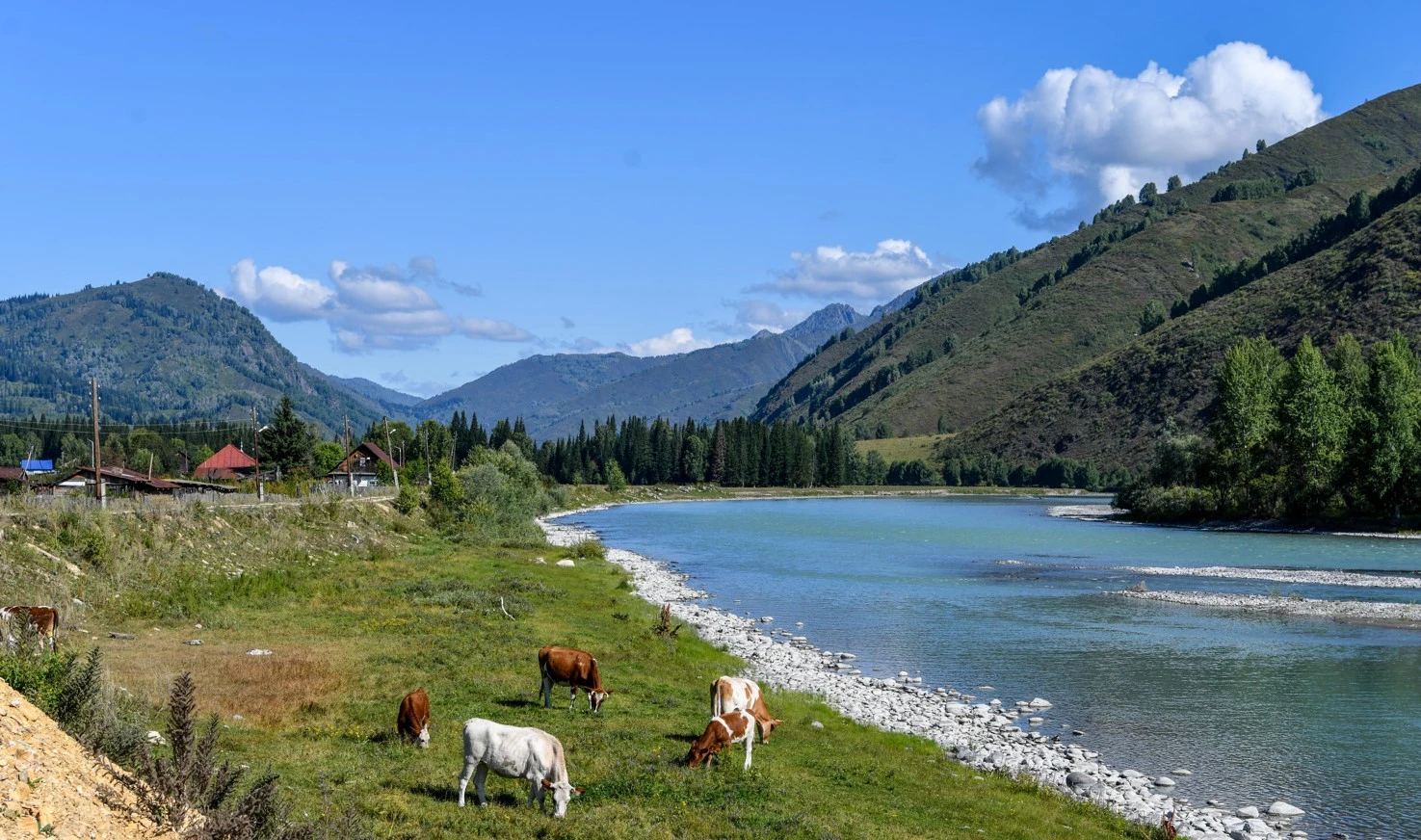 بىرلەسكەن ىستە بەرەكە بار