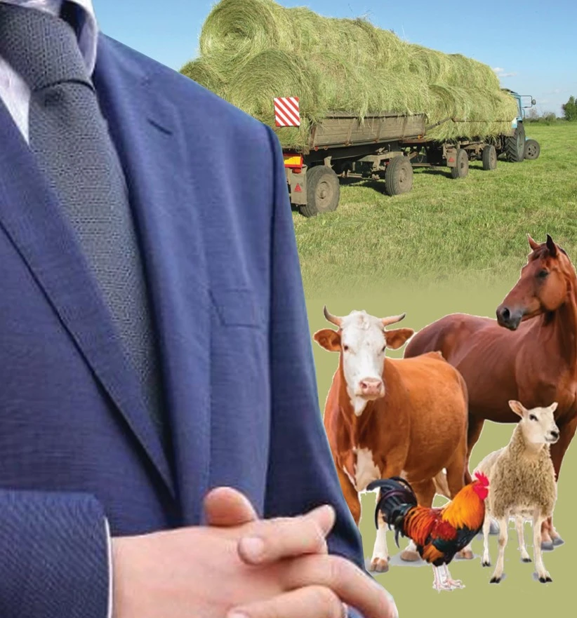 تاعى دا ءلاتيفۋنديستىڭ اتى وزدى...