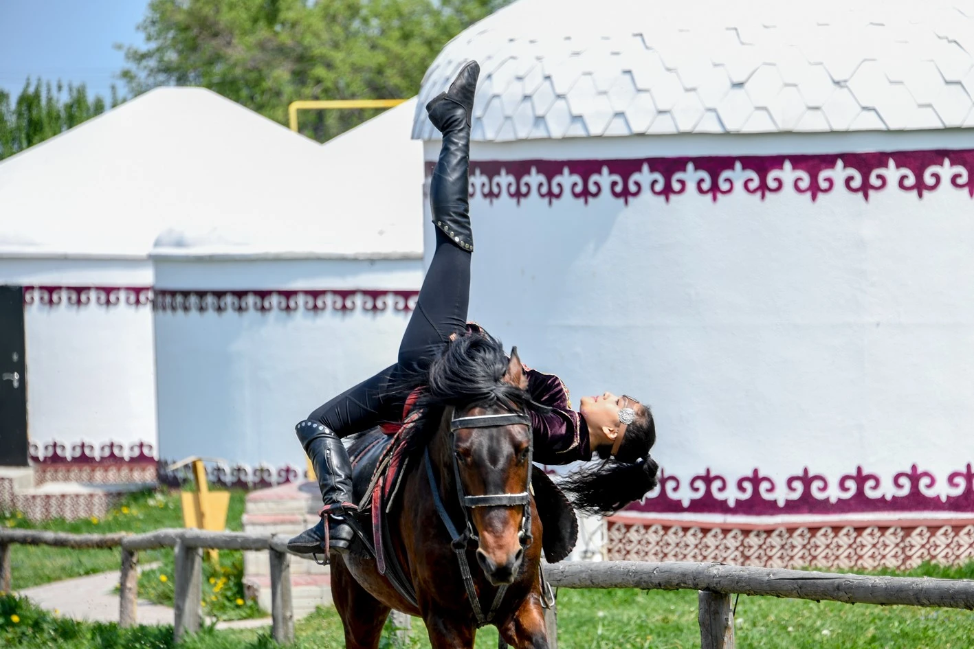 ات ۇستىندەگى ارۋلار