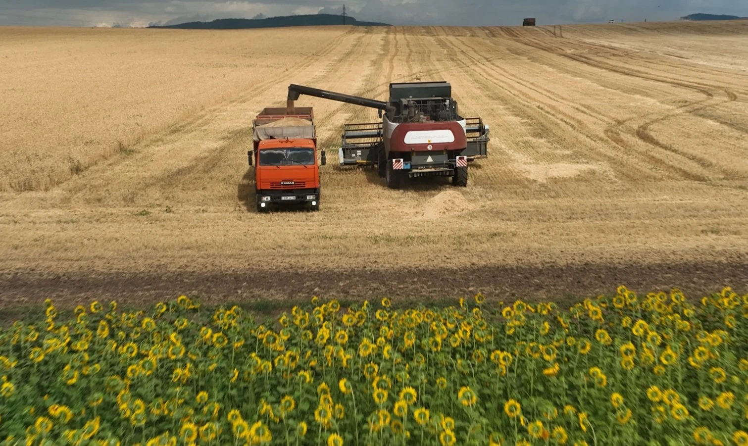 Aitas Agro: كۇردەلى جىل بولسا دا كۇتەرىمىز كوپ