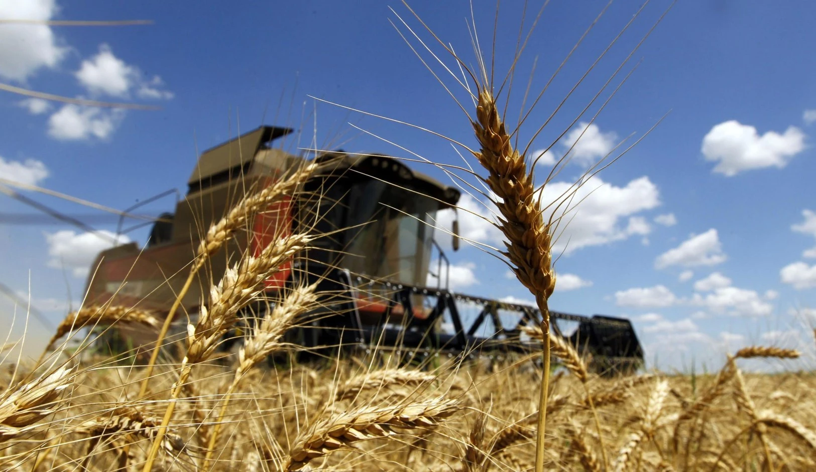 ەگىنشىلەردىڭ قارقىنى نەگە باياۋ؟