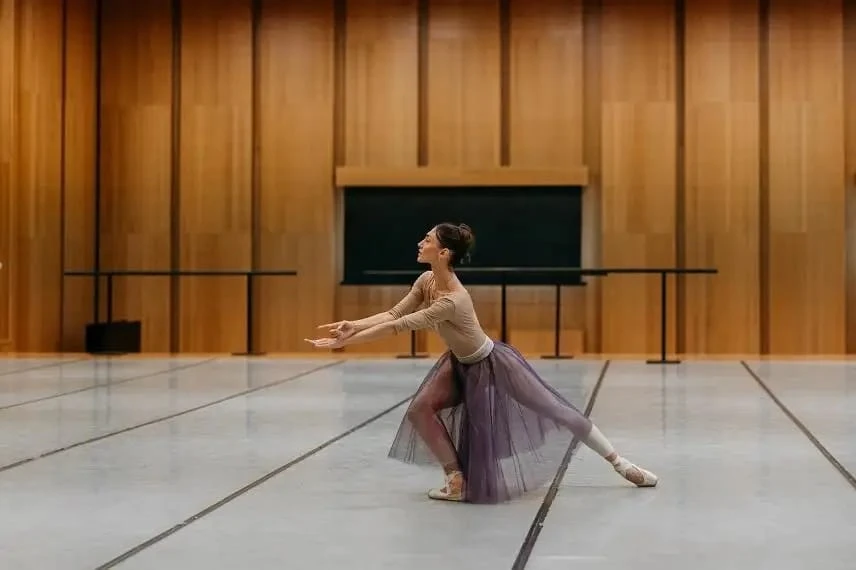 «سيلفيدا» بالەتى قويىلادى