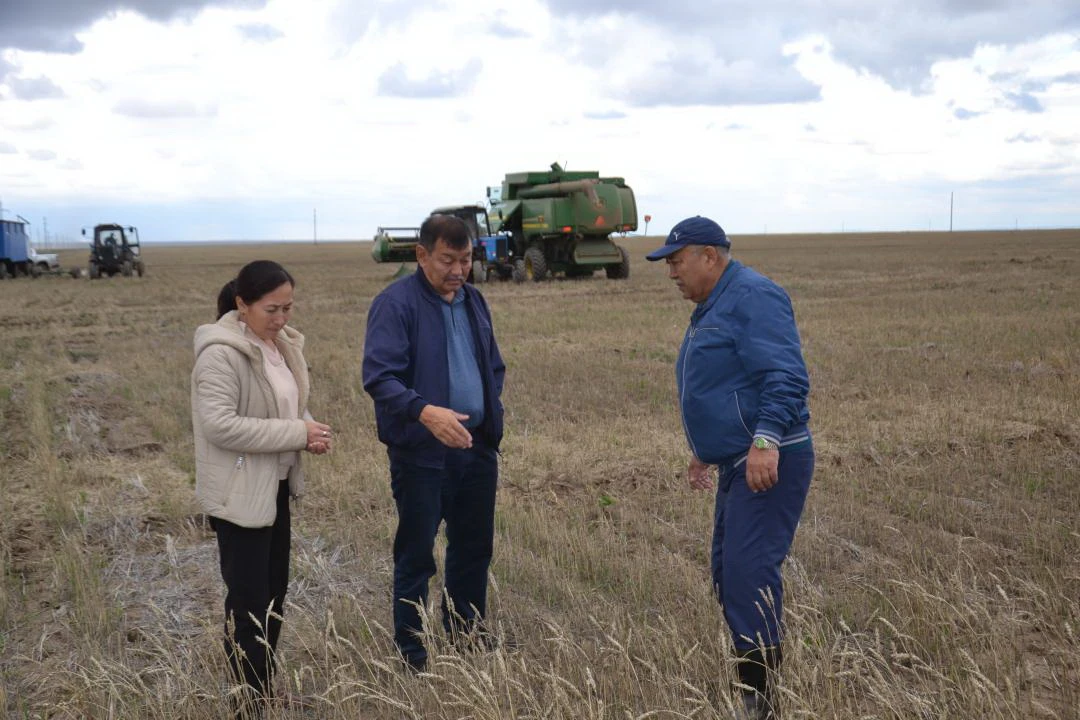 سىن ساعاتتاعى سەرگەلدەڭ