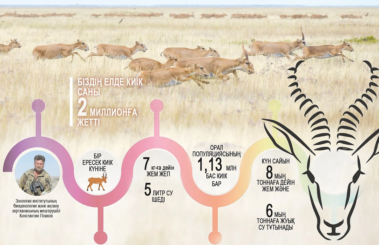 جەزكيىك, ءبىزدىڭ جاققا بەكەر كەلدىڭ...