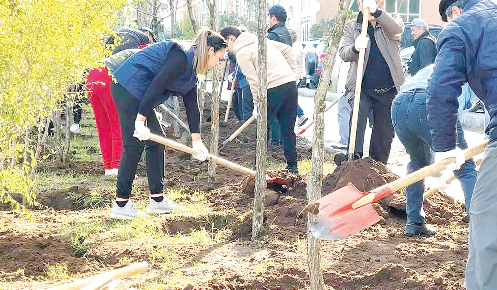 «جاسىل استانا» ەكولوگيالىق ايلىعى