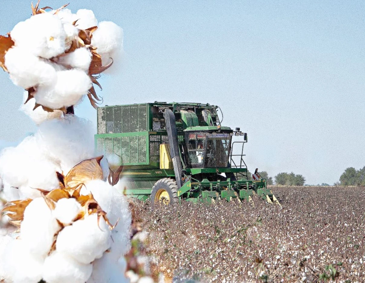 ماقتا شارۋاشىلىعى مەملەكەت قولداۋىنا مۇقتاج