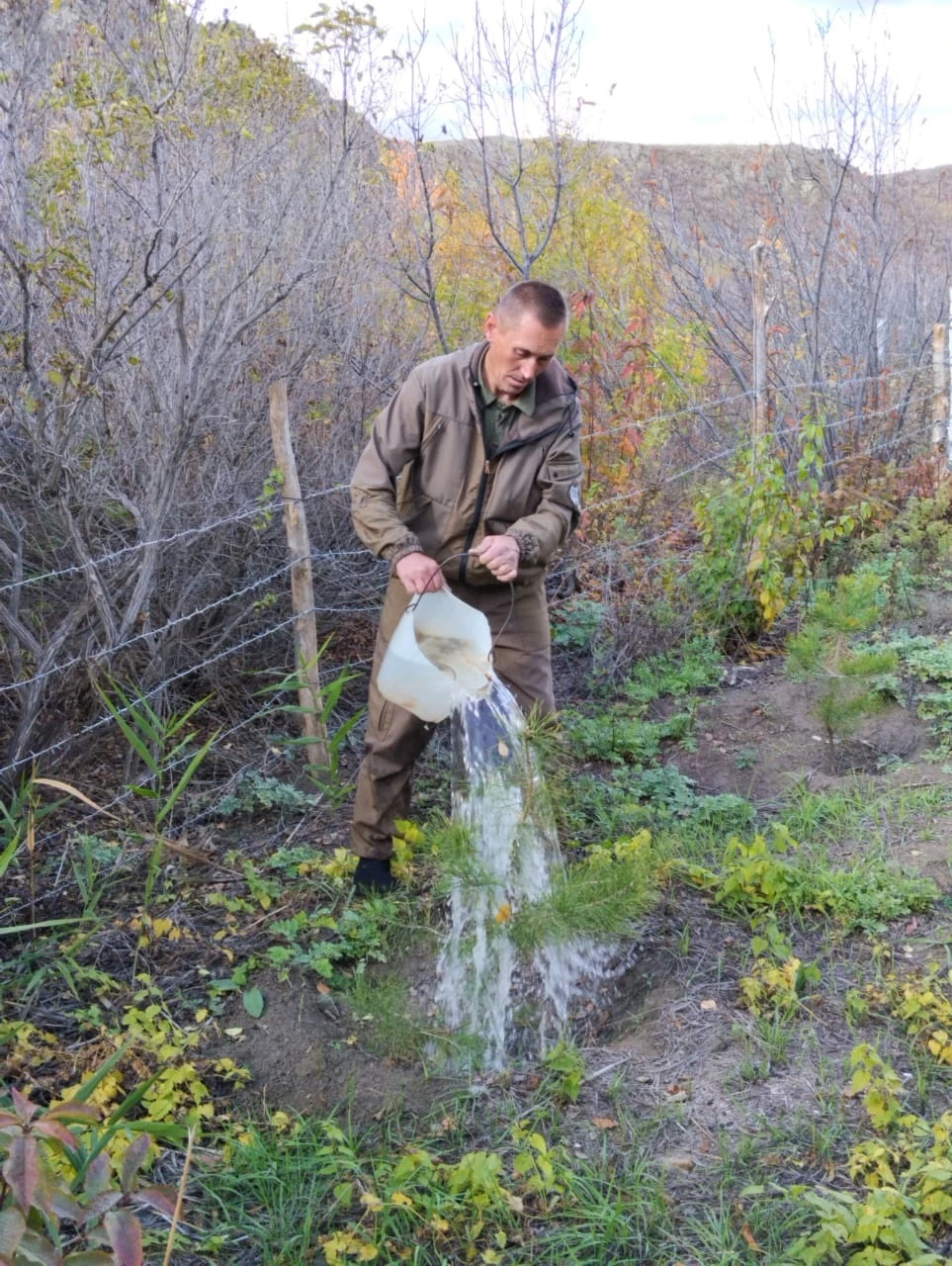 ورمانشىنى نە تولعاندىرادى؟