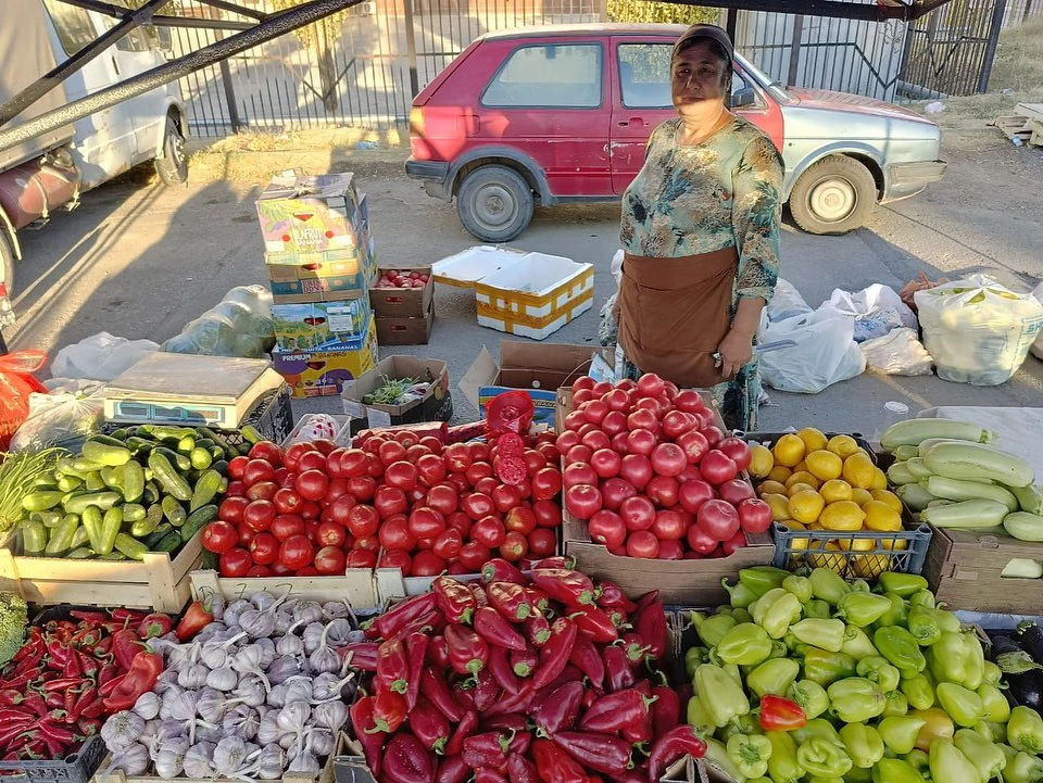 باعانىڭ تۇراقتىلىعى قاداعالانادى
