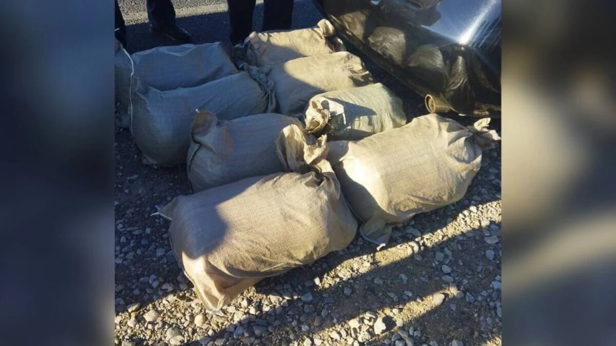 قىزىلوردادا ءىرى مولشەردە ەسىرتكىمەن ۇستالعاندار سوتتالدى