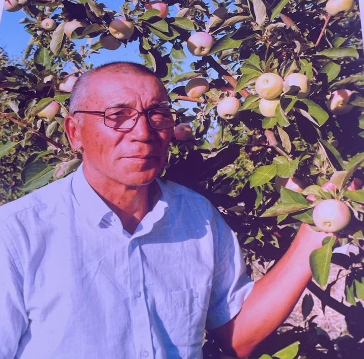 جەرگە ءنار بەرگەن مۇراپ