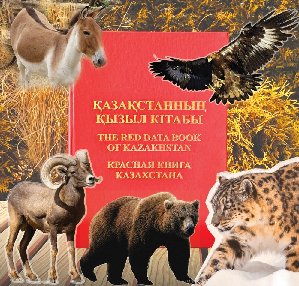 4 قازان – دۇنيەجۇزىلىك جانۋارلاردى قورعاۋ كۇنى: جان-جانۋار دا قامقورلىققا ءزارۋ