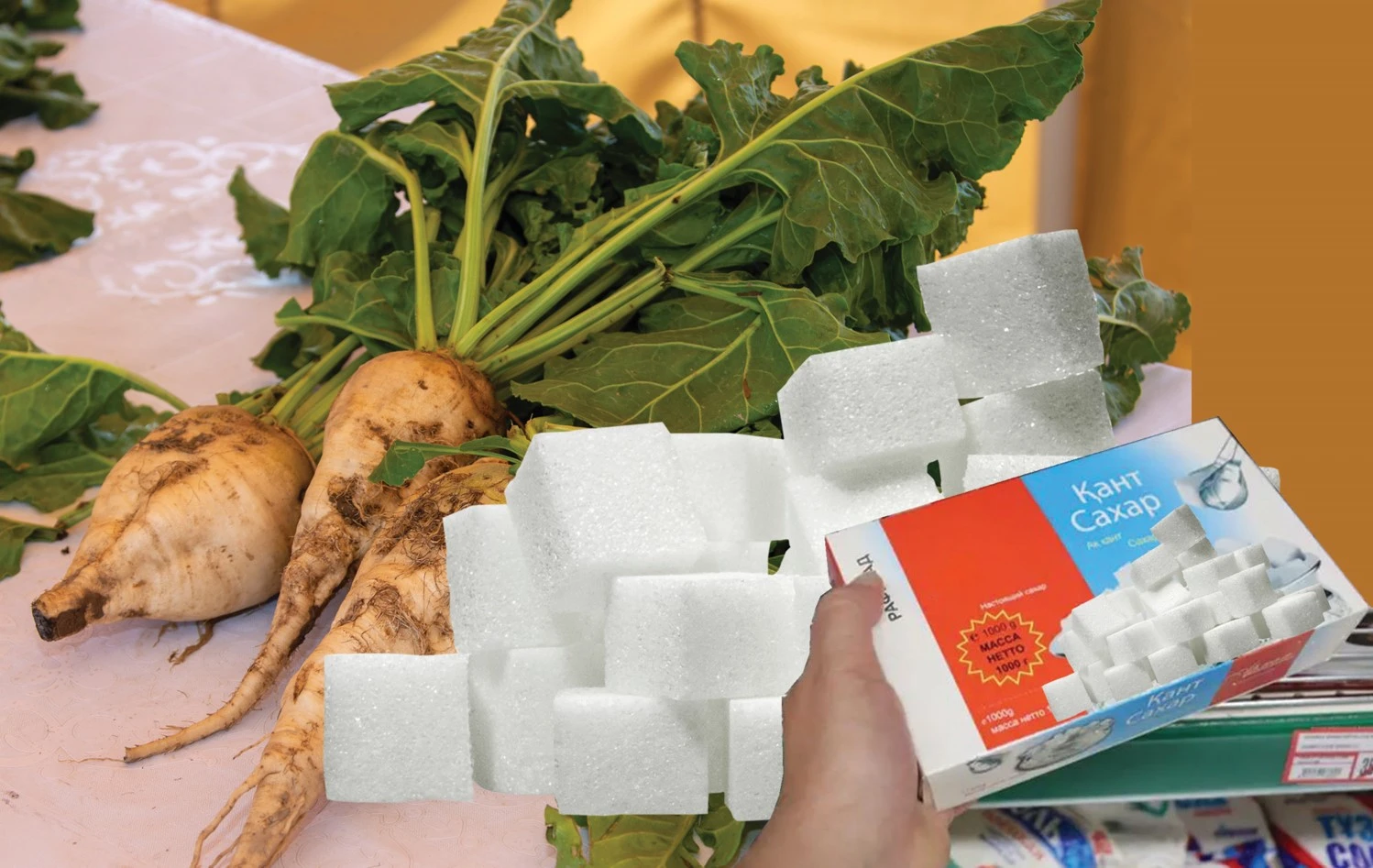 قانت تۋدىرعان قاۋىپ