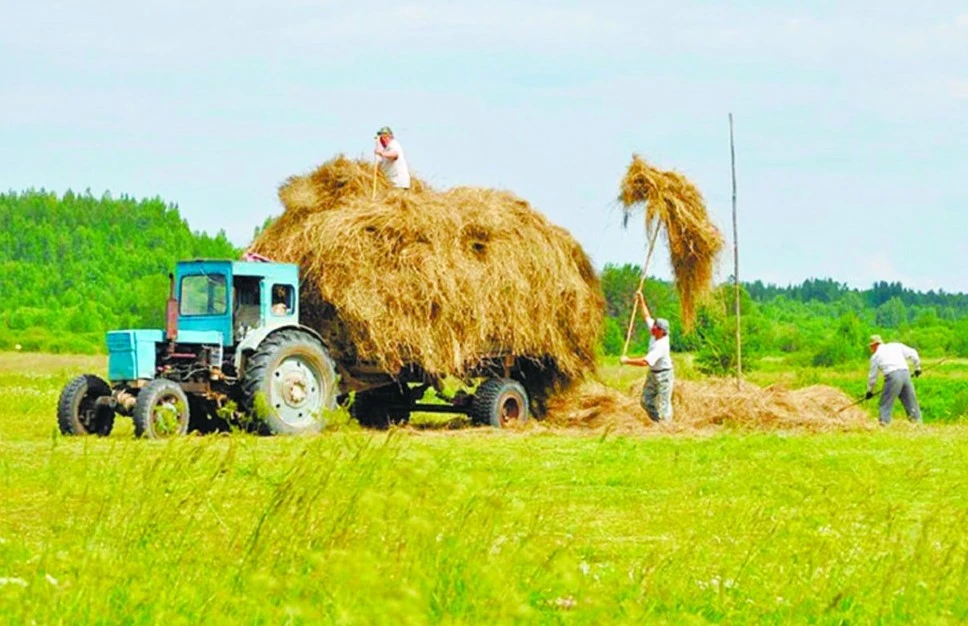 پاۆلودار وبلىسى: جۇتاڭداعان شابىندىق