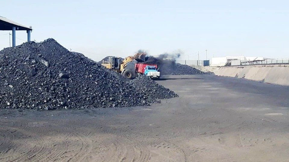 قىزىلوردا وبلىسى: قور دا, باعا دا باقىلاۋدا