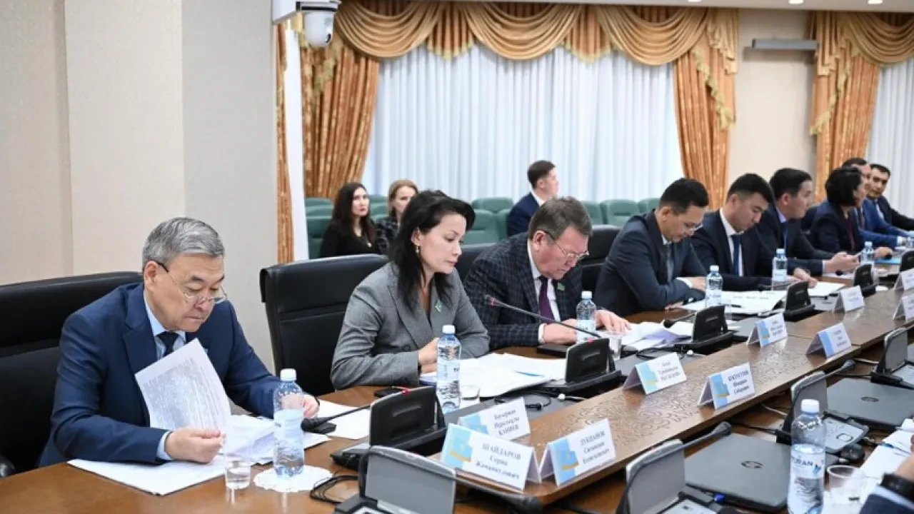 شاعىن جانە ورتا كاسىپكەرلىك ماسەلەسى