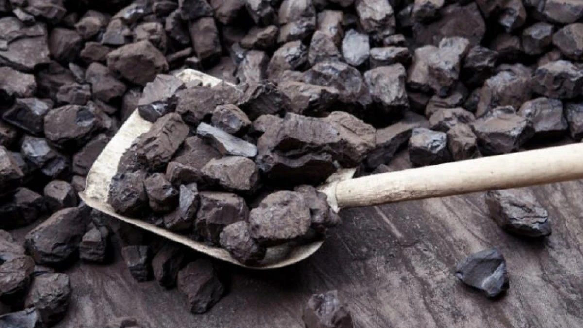 سولتۇستىك قازاقستان وبلىسى: وتىن نارقى ويناپ تۇر