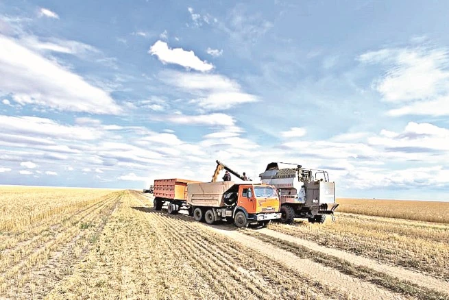 القاپتاعى ارپالىس اياقتالماي تۇر