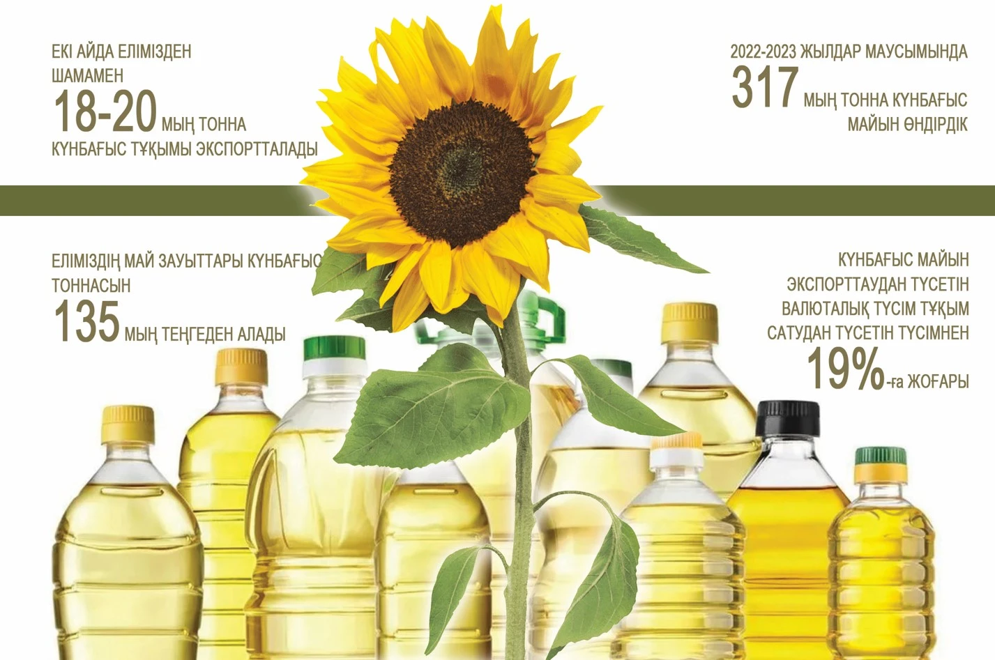 مايعا اشىلعان «مايدان»