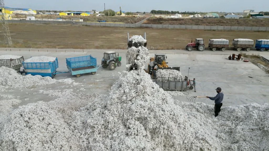 وڭدەۋ ونەركاسىبىن دامىتۋ مۇمكىندىگى