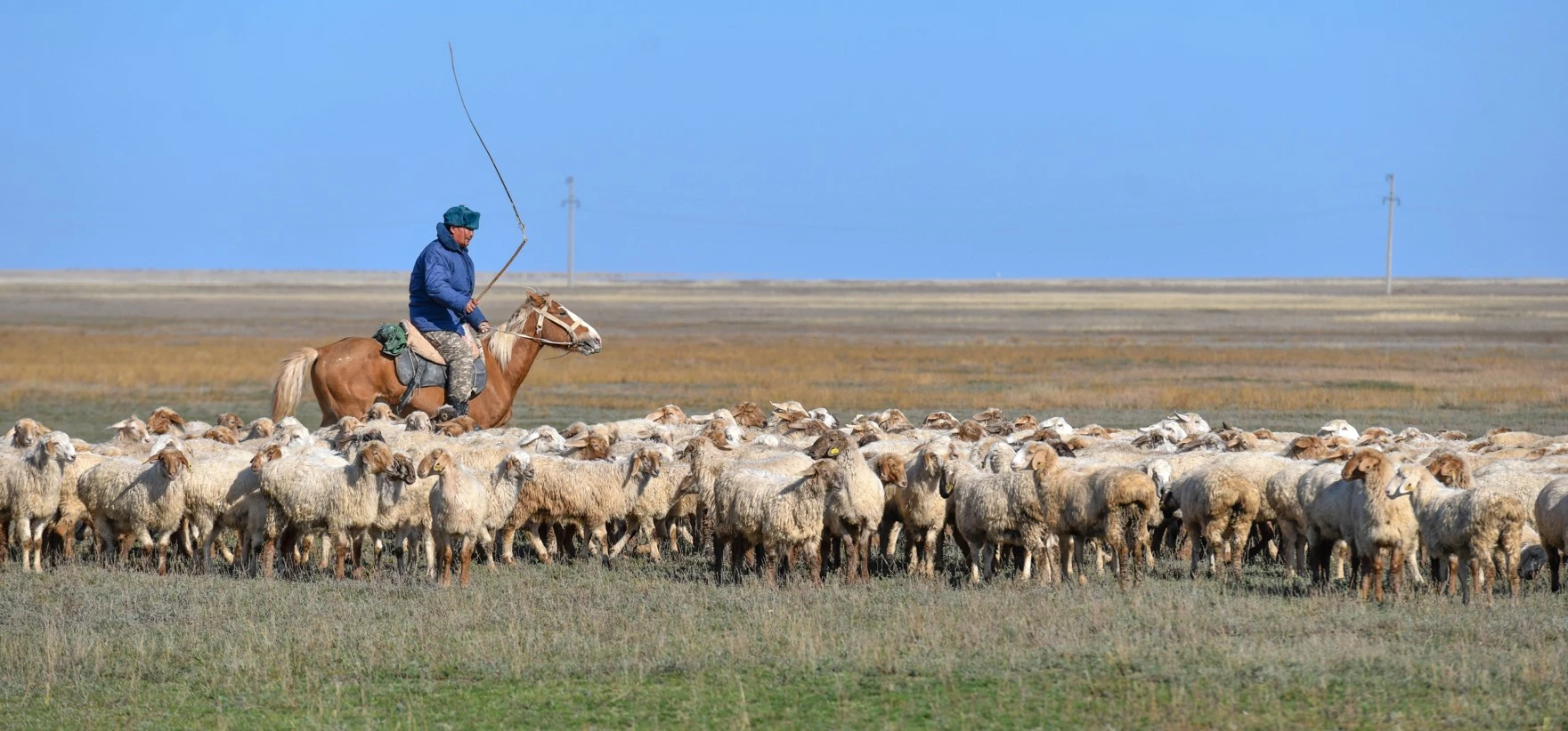 مالشى تابۋدىڭ مۇڭى