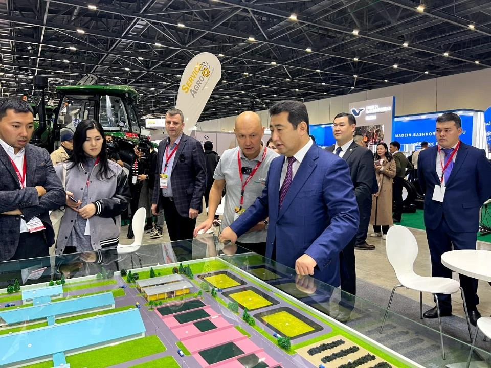 كومەگى كوپ كورمە