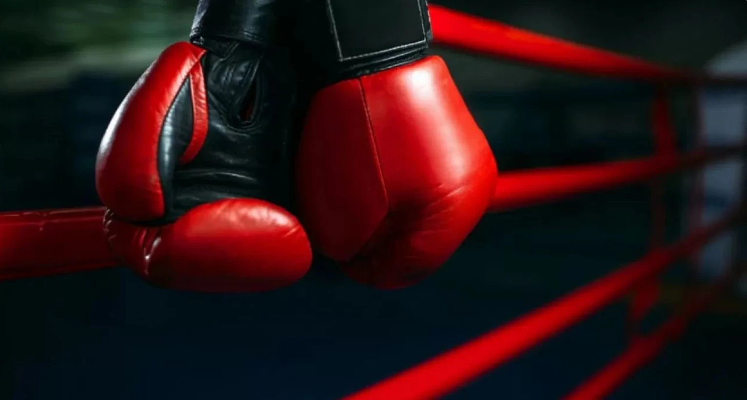 جاس بوكسشىلار باسەكەسى