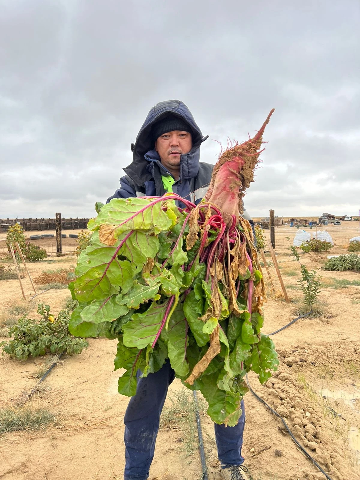 شارۋاسى قوجىراماعان قوجالىق