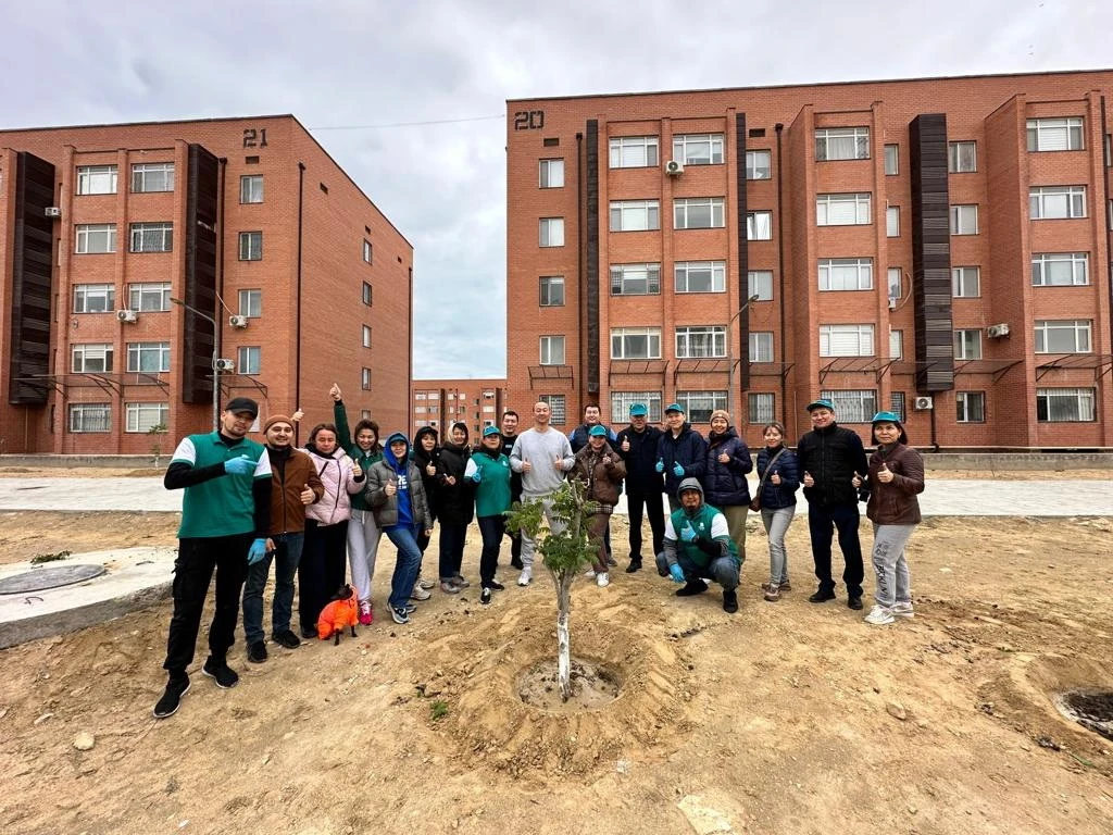 جاڭا ۇيلەر جاسىل جەلەكپەن اباتتاندىرىلادى