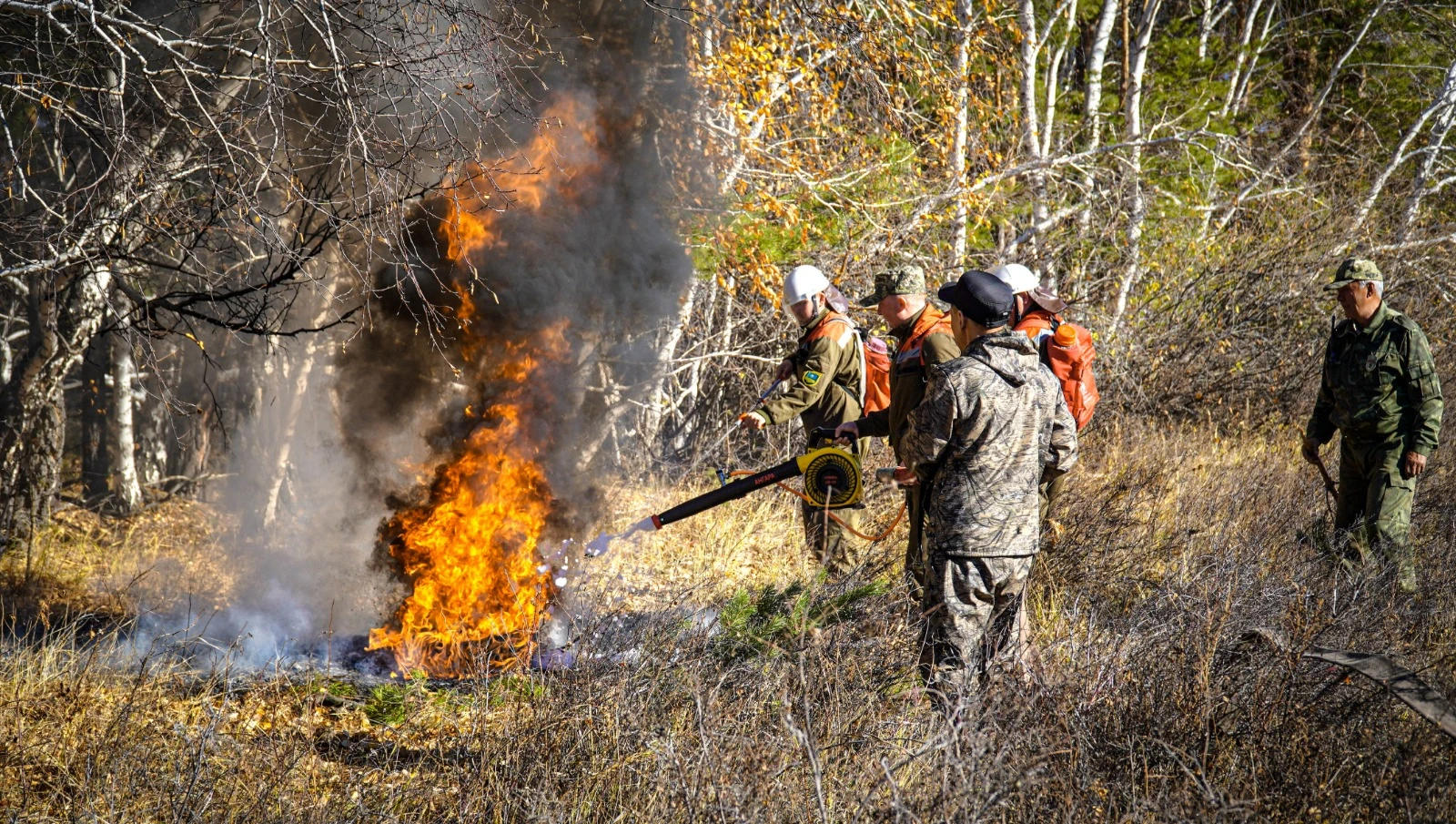 ورمان ورتىنە جول بەرمەۋ امالى