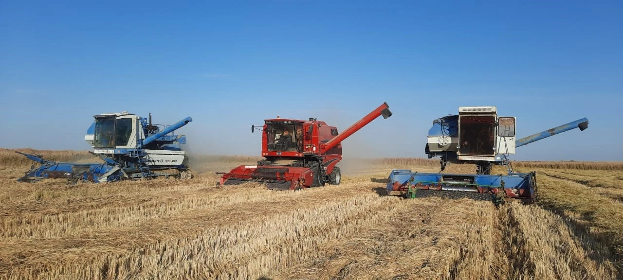 ىسىراپسىز ىرىس