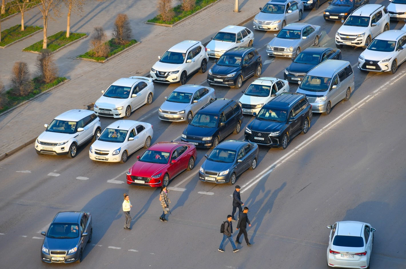 جول اپاتى نەگە جيىلەدى؟