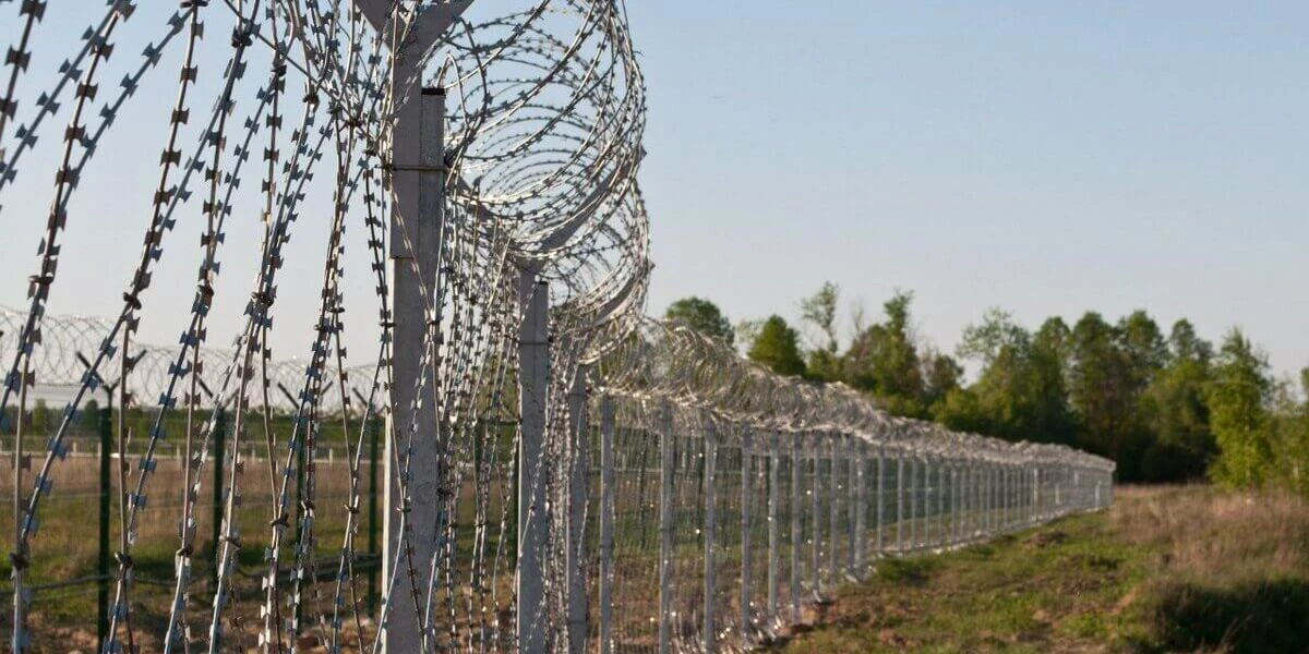 شەكتەن شىققان شەتەلدىكتەر