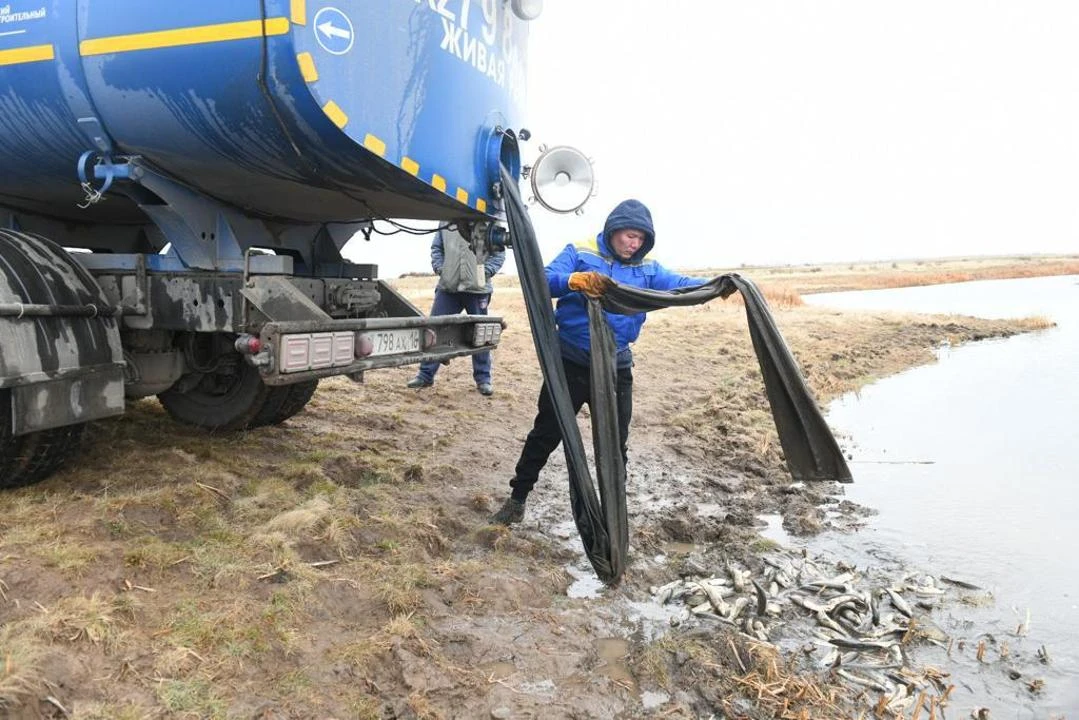 ەسىلدىڭ نەسىبەسىن ەسەلەيدى