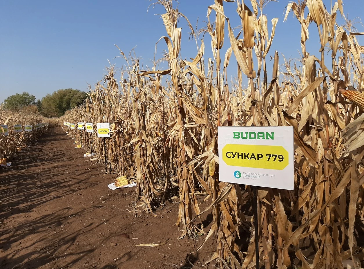 «دالا ارۋىنا» تالاپ جوعارى