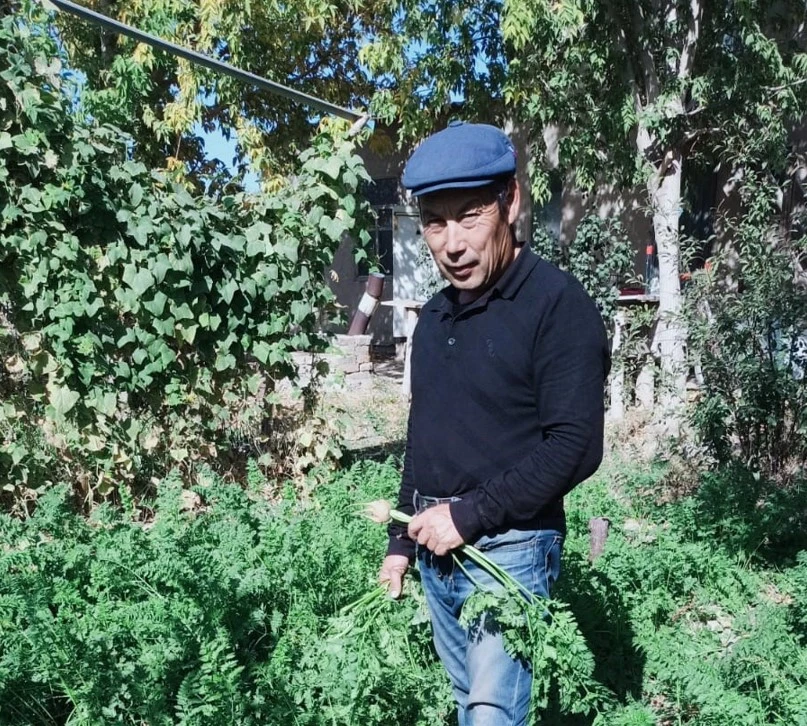 قوي جۇنىنە كارتوپ ەككەن