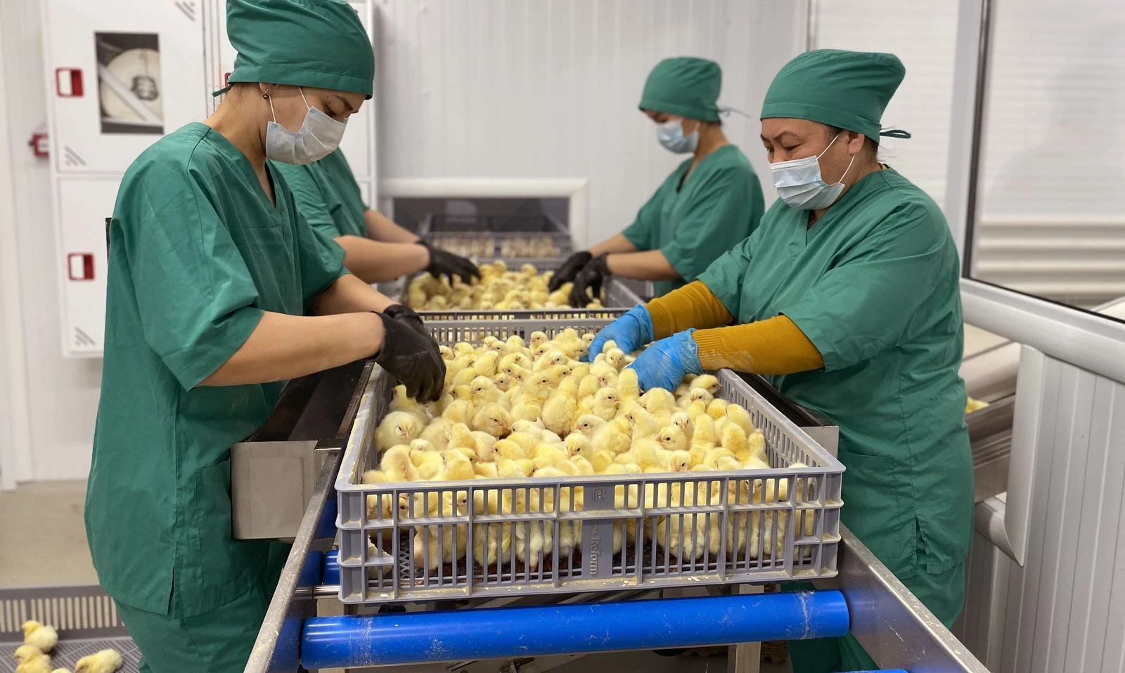 «اۋىل اماناتى» قالاي ورىندالىپ جاتىر؟