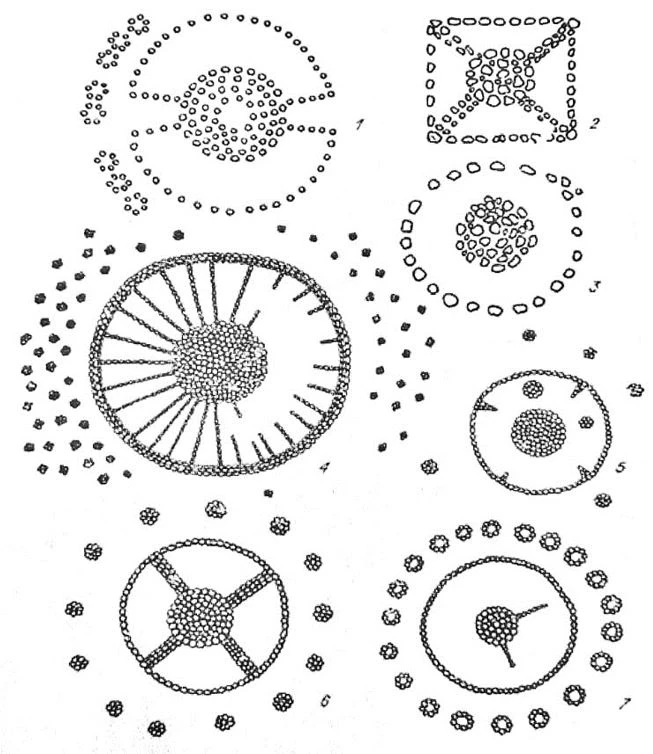 سكيف/ساقتان قالعان  ۇلى مۇرا