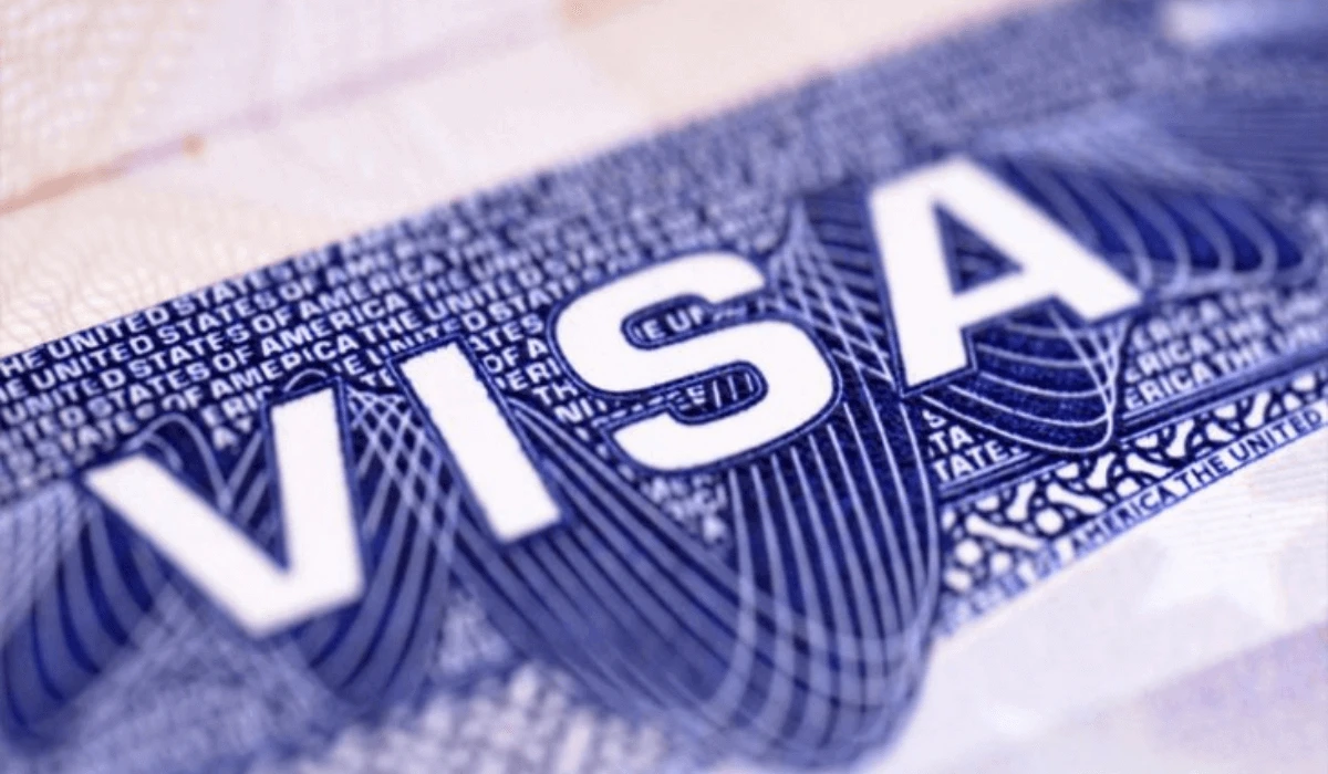 ۆيزاسىز رەجىمنىڭ پايداسى كوپ