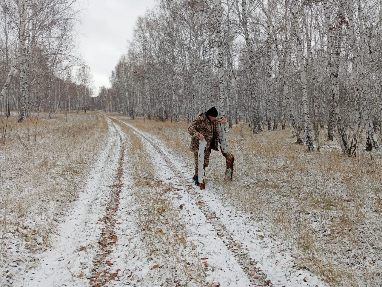 ورمانشىنىڭ ەسەلى ەڭبەگى