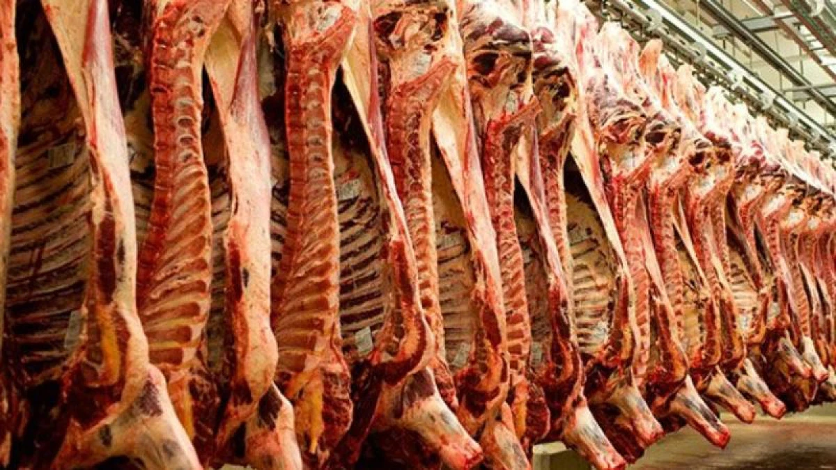 ەت وندىرىسىندە سىرتقى شيكىزاتقا مۇقتاج ەمەسپىز