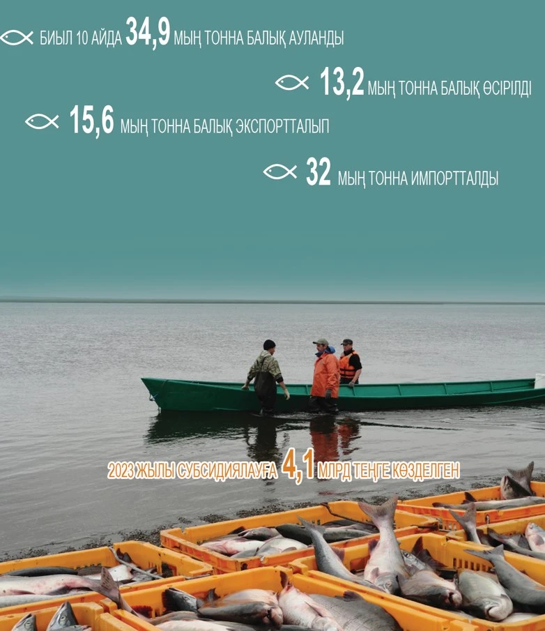 بالىق بازارى قىزىپ تۇر