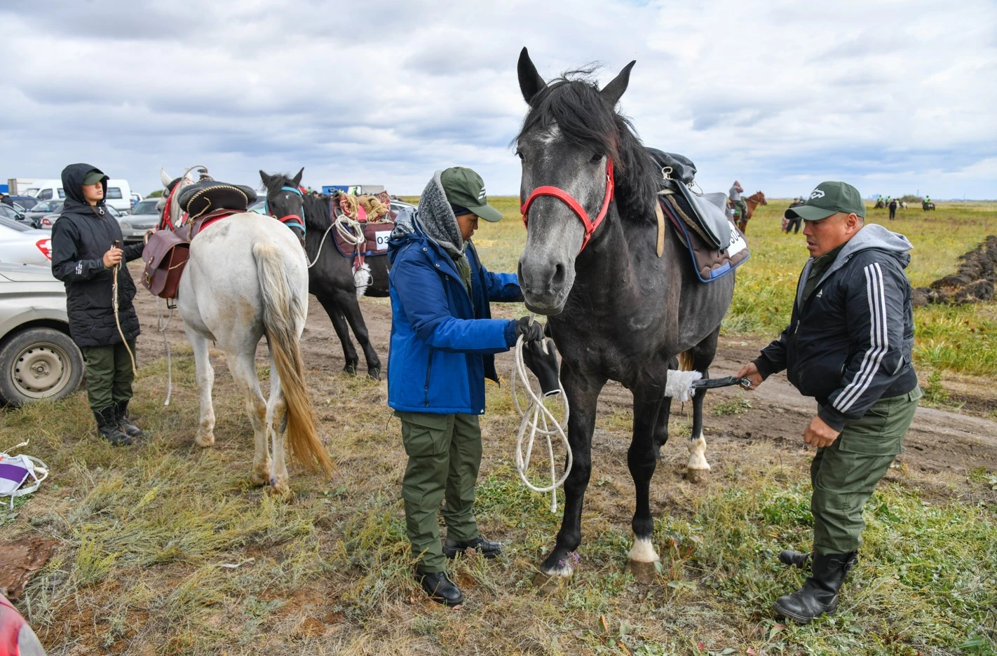 قۋ باستى تانىعان سىنشى