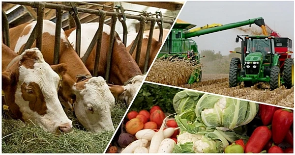 قازاقتىڭ قۇتى – اۋىلدا