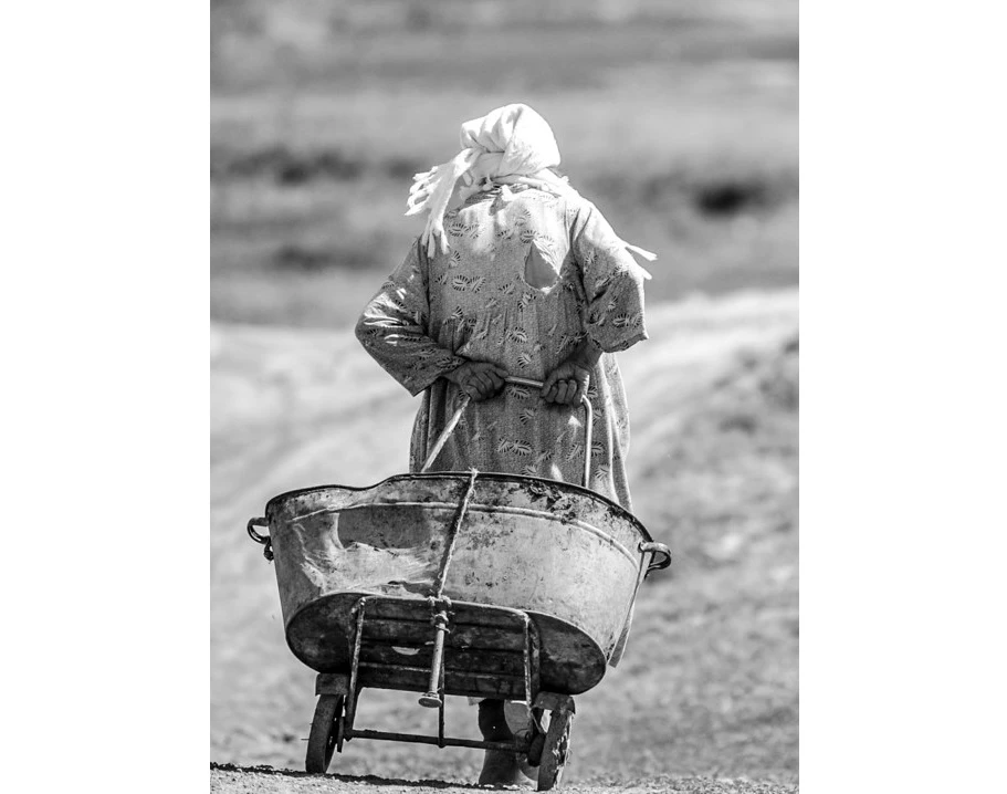 مىڭ سوزدەن ءبىر سۋرەت ارتىق