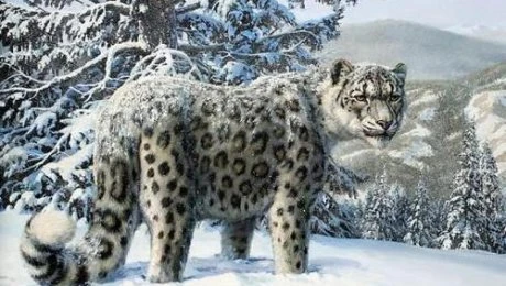 جانۋارلار الەمىنە جارقىن كوزقاراس