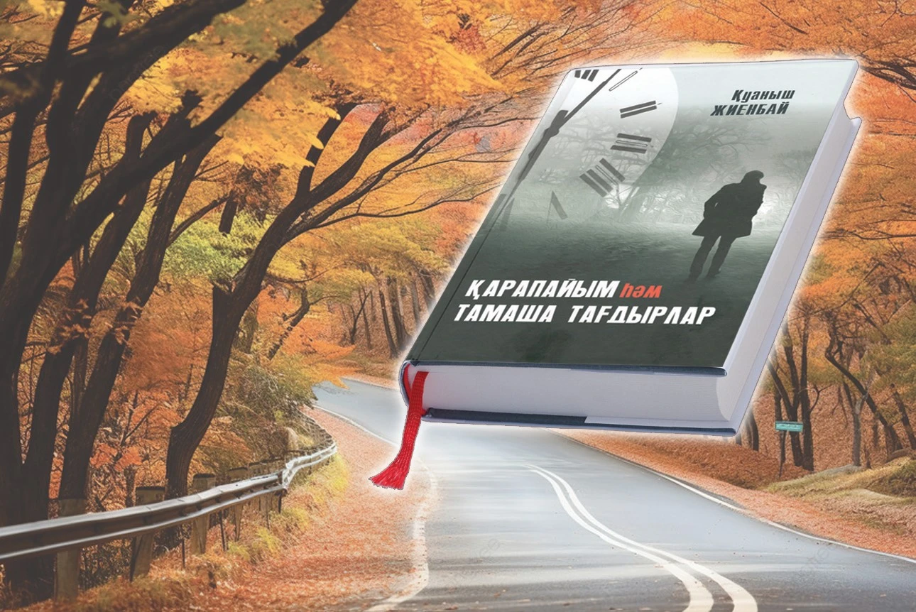 تاماشا تاعدىرلار گالەرەياسى